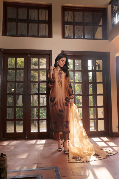 Mona Imran | Ezel Eid 25 | Ariana -  Mona Imran Ladies Clothes - Original Designer Dress - House of Maryam