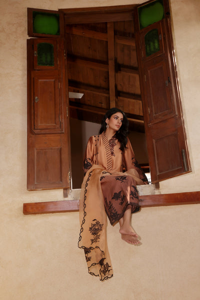 Mona Imran | Ezel Eid 25 | Ariana -  Mona Imran Ladies Clothes - Original Designer Dress - House of Maryam