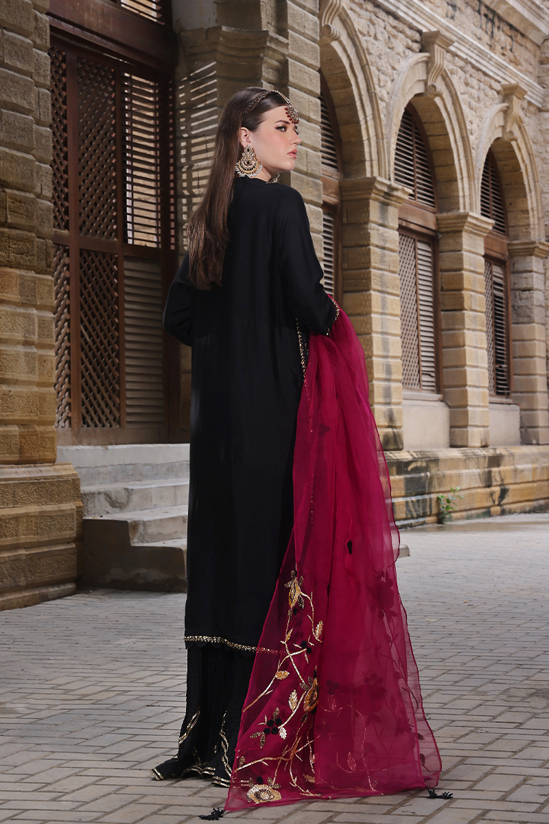 Mona Imran | Dilzaib Formals | Janan -  Mona Imran Ladies Clothes - Original Designer Dress - House of Maryam
