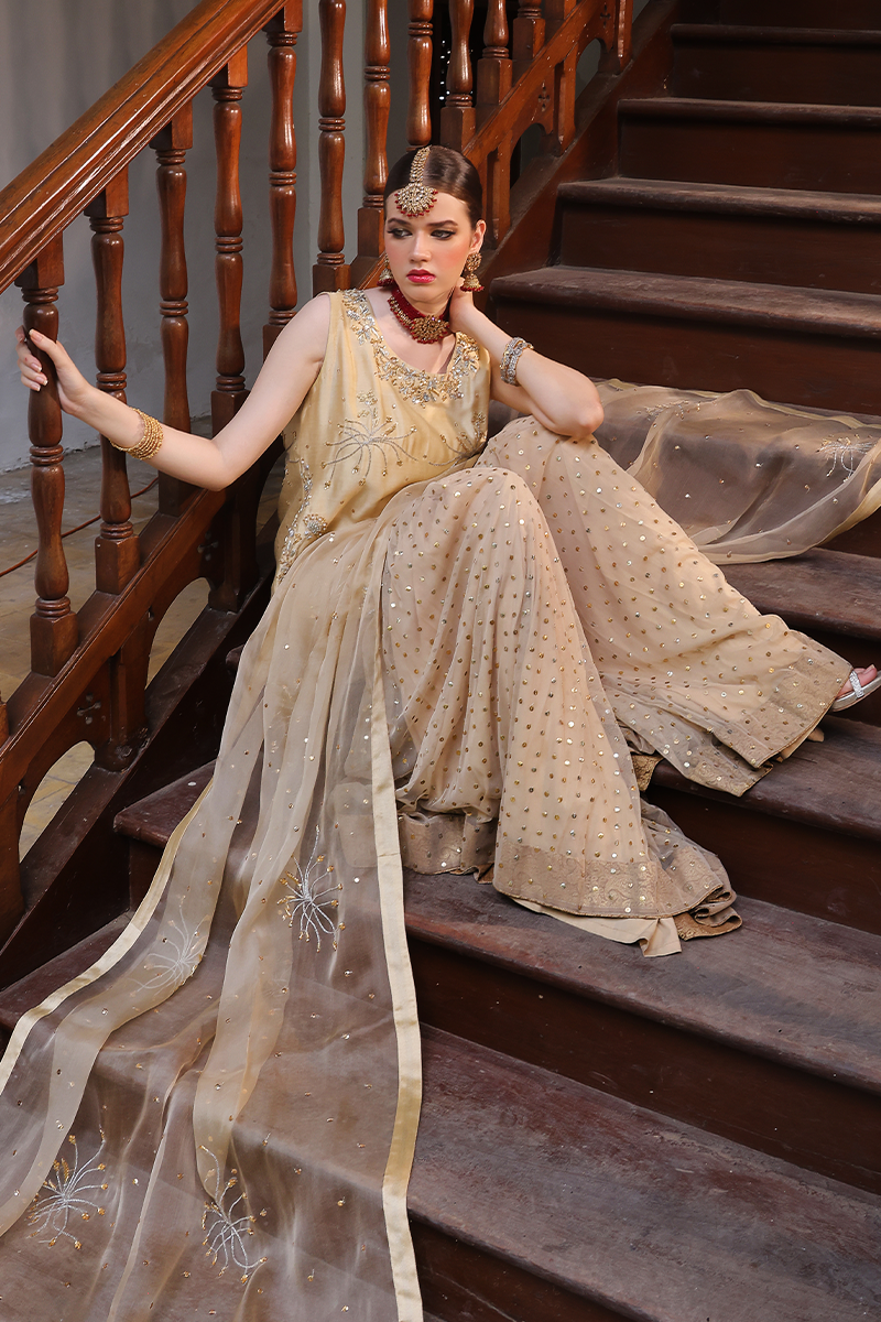 Mona Imran | Dilzaib Formals | Seerat -  Mona Imran Ladies Clothes - Original Designer Dress - House of Maryam