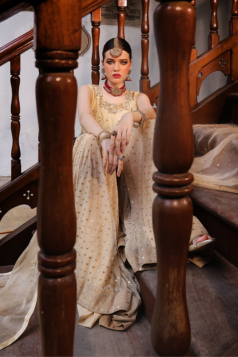 Mona Imran | Dilzaib Formals | Seerat -  Mona Imran Ladies Clothes - Original Designer Dress - House of Maryam