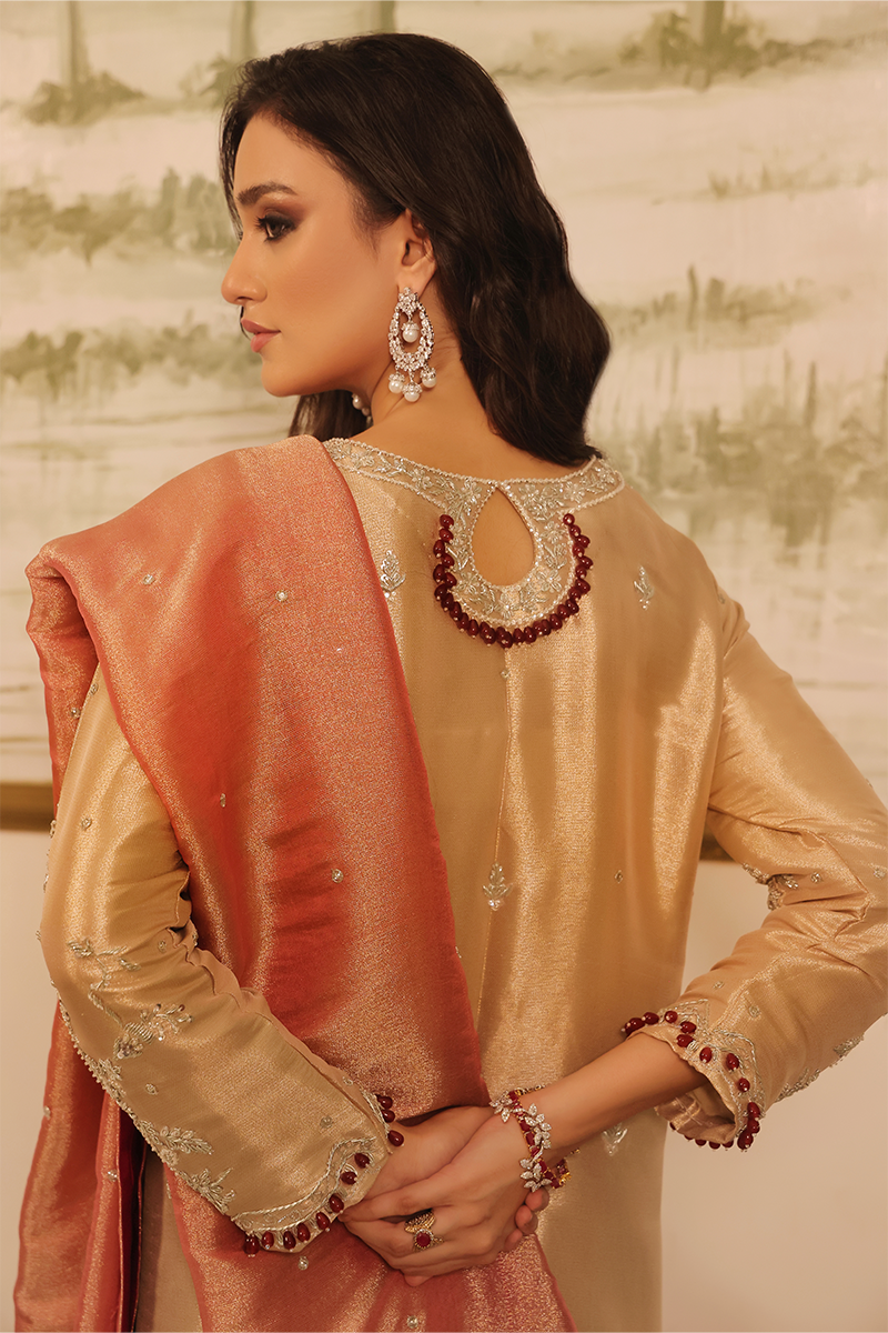 Mona Imran | Dilzaib Formals | Haya -  Mona Imran Ladies Clothes - Original Designer Dress - House of Maryam
