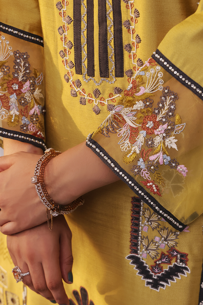 Mona Imran | Ayla Eid Edit | Zareen -  MONA IMRAN Ladies Clothes - Original Designer Dress - House of Maryam
