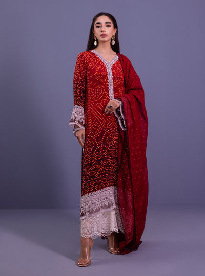 Zainab Chottani | Eid Festive Vol 1 | BANO by Zainab Chottani - House of Maryam