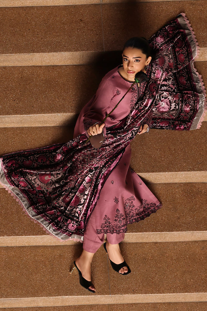 Rajbari | Winter Shawl Exclusive | Winter Shawl 02-5