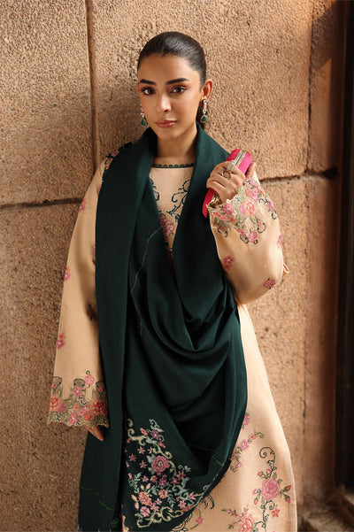 Rajbari | Winter Shawl Exclusive | Winter Shawl 07