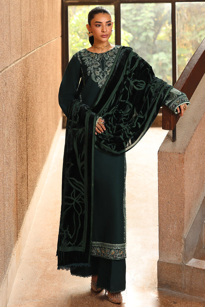 Rajbari | Winter Shawl Exclusive | Winter Shawl 09