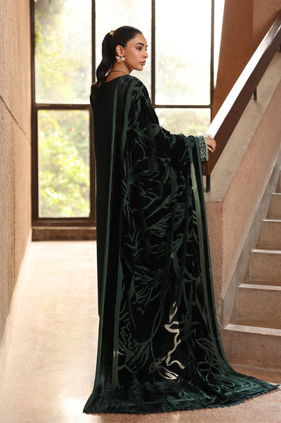 Rajbari | Winter Shawl Exclusive | Winter Shawl 09