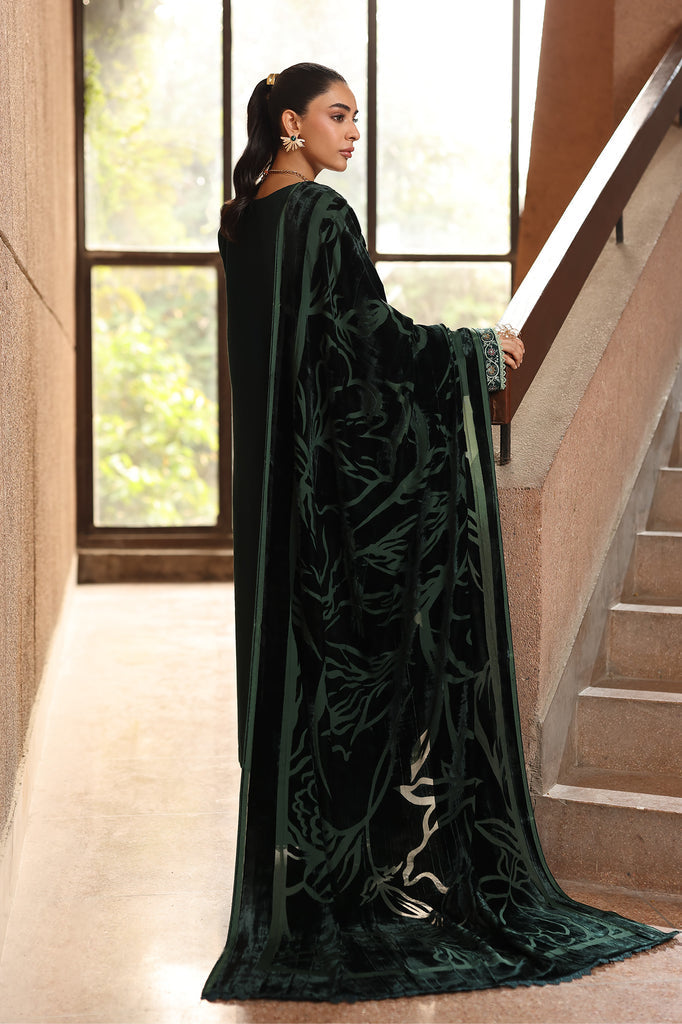 Rajbari | Winter Shawl Exclusive | Winter Shawl 09-2
