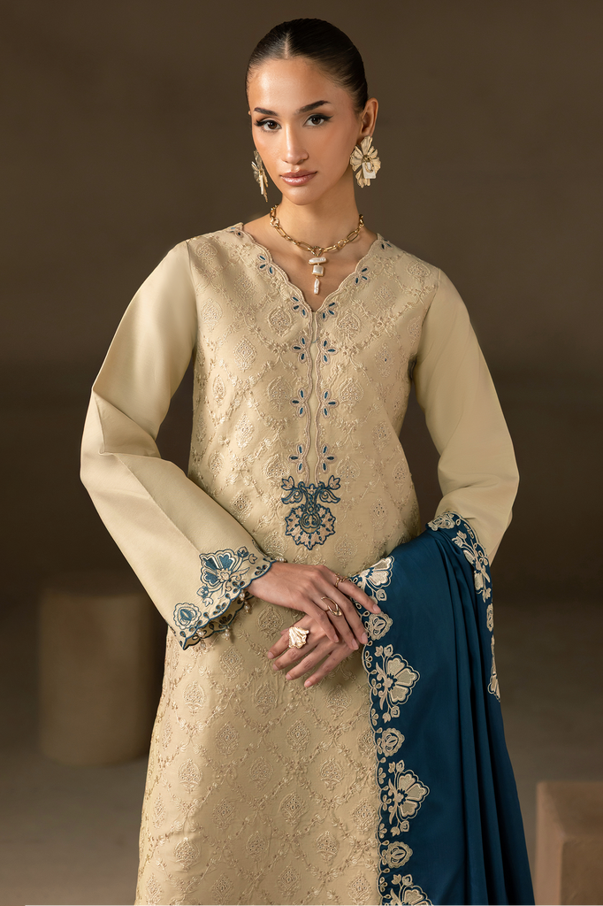 Rajbari | Premium Viscose Chikankari | RPVC-06-3