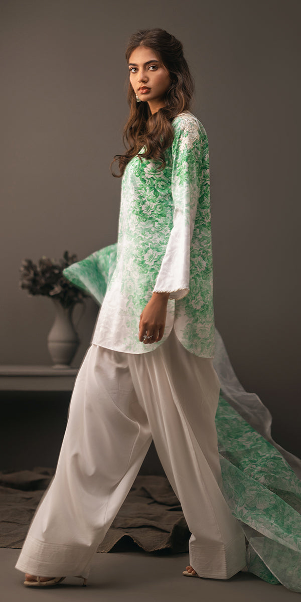 Erum Khan | Beyond Basic | VIVID ELEGANCE by Designer Erum Khan - House of Maryam - Pakistani Designer Ethnic Wear in {{ shop.shopifyCountryName }}