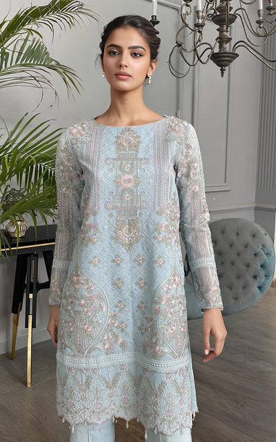 Threads and Motifs | Formal Dresses 25 | Net Embroidered Shirt -  Threads and Motifs Ladies Clothes - Original Designer Dress - House of Maryam