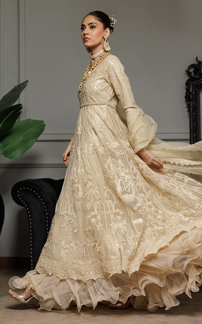 Threads and Motifs | Formal Dresses 25 | Net Embroidered Maxi -  Threads and Motifs Ladies Clothes - Original Designer Dress - House of Maryam