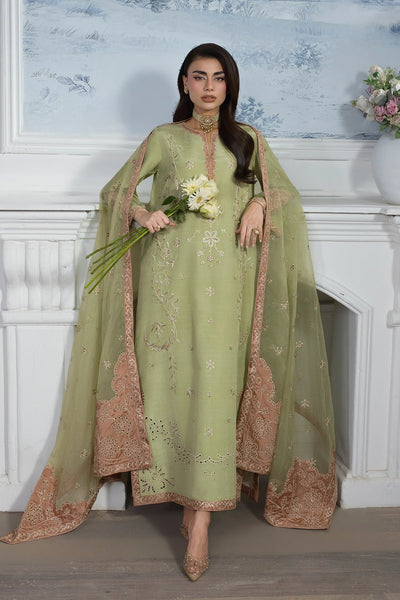 Rangrasiya | Lumeire Silk | Alma