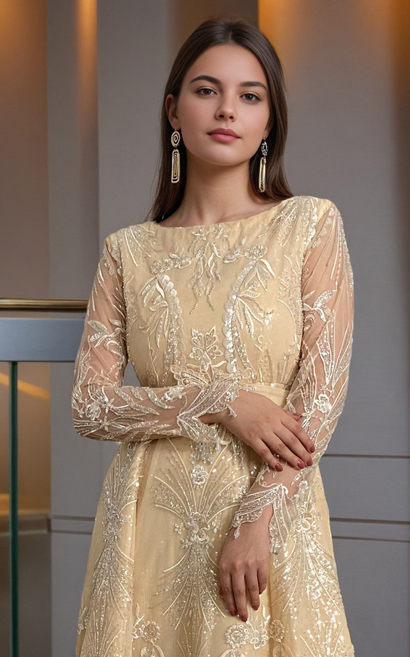 Threads and Motifs | Formal Dresses 25 | Net Embroidered Maxi -  Threads and Motifs Ladies Clothes - Original Designer Dress - House of Maryam