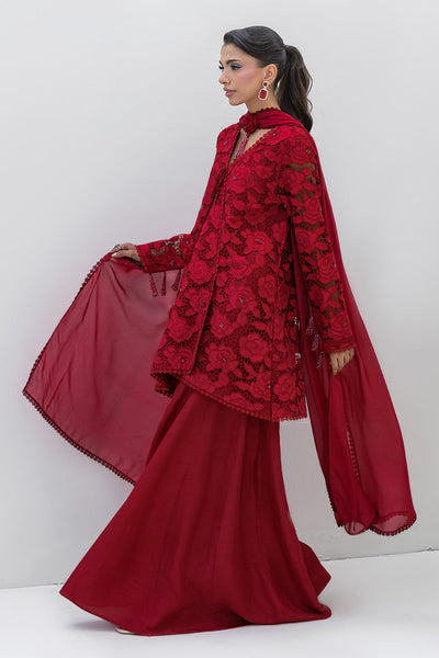 Chic Ophicial | Aarzu Luxe Pret | Red Radiance