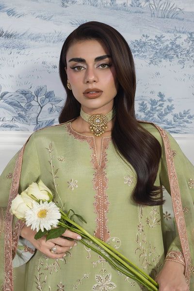 Rangrasiya | Lumeire Silk | Alma