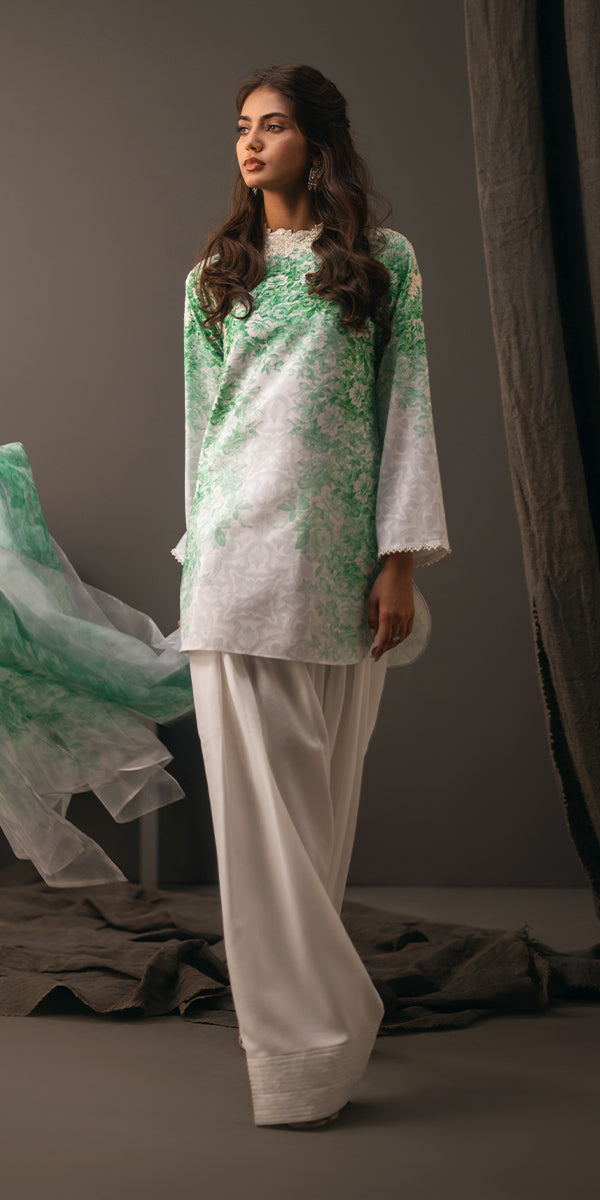 Erum Khan | Beyond Basic | VIVID ELEGANCE -  Erum Khan Ladies Clothes - Original Designer Dress - House of Maryam