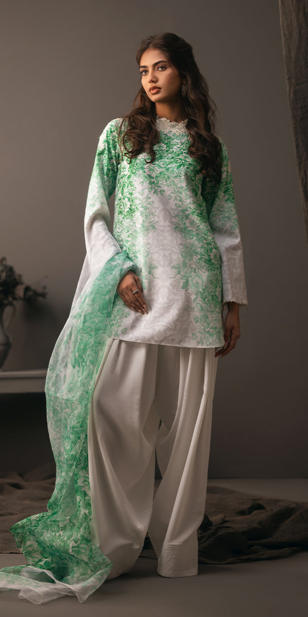 Erum Khan | Beyond Basic | VIVID ELEGANCE by Designer Erum Khan - House of Maryam - Pakistani Designer Ethnic Wear in {{ shop.shopifyCountryName }}