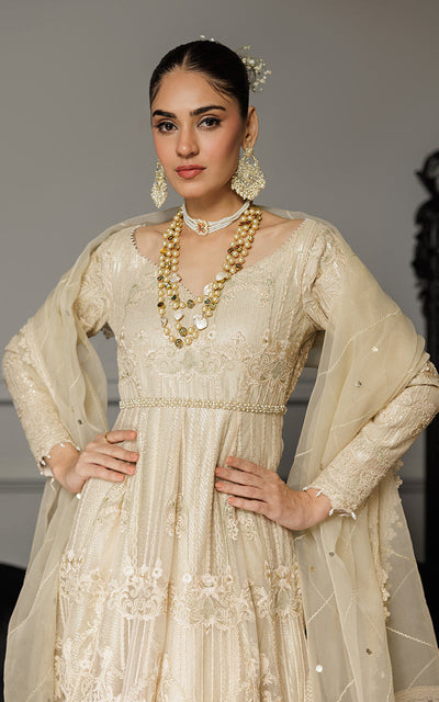 Threads and Motifs | Formal Dresses 25 | Net Embroidered Maxi -  Threads and Motifs Ladies Clothes - Original Designer Dress - House of Maryam