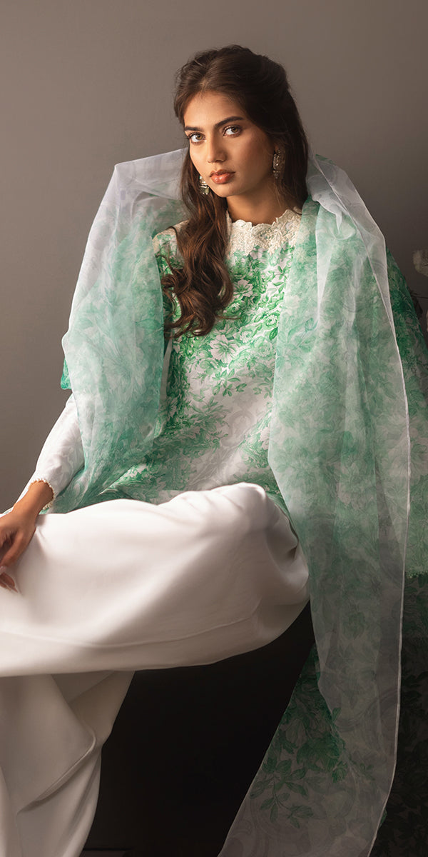 Erum Khan | Beyond Basic | VIVID ELEGANCE -  Erum Khan Ladies Clothes - Original Designer Dress - House of Maryam