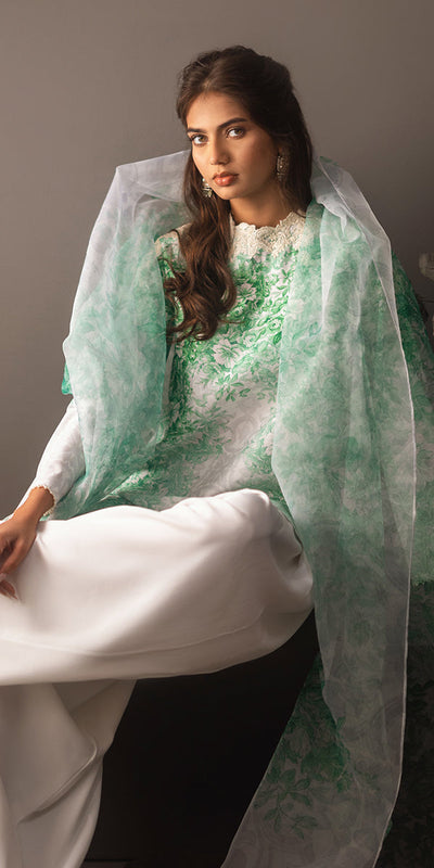 Erum Khan | Beyond Basic | VIVID ELEGANCE -  Erum Khan Ladies Clothes - Original Designer Dress - House of Maryam