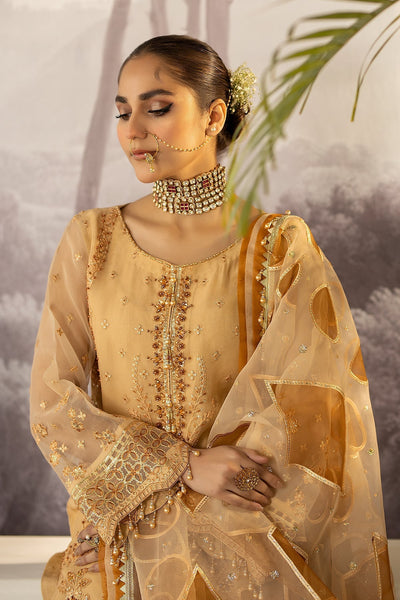 Raeesa Premium | Dehleez Formals | DL-1027 Saazish-E-Ropa -  Raeesa Premium Formal - Original Designer Dress - House of Maryam
