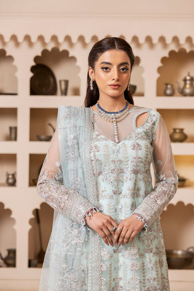 House of Nawab | Luxury Formals | TABSIRA by Designer House of Nawab - House of Maryam - Pakistani Designer Ethnic Wear in {{ shop.shopifyCountryName }}