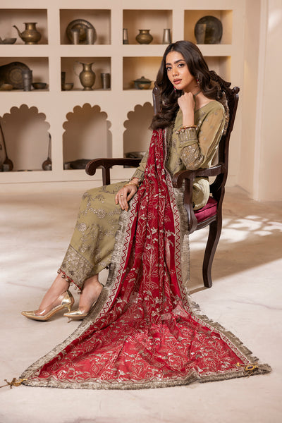 House of Nawab | Luxury Formals | ZEBA by Designer House of Nawab - House of Maryam - Pakistani Designer Ethnic Wear in {{ shop.shopifyCountryName }}