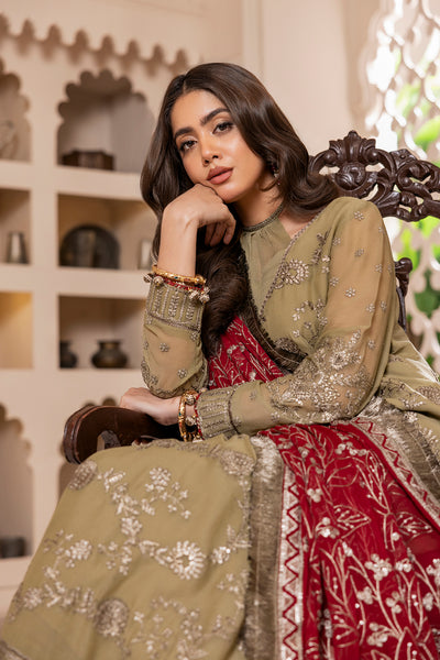 House of Nawab | Luxury Formals | ZEBA by Designer House of Nawab - House of Maryam - Pakistani Designer Ethnic Wear in {{ shop.shopifyCountryName }}