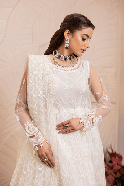 House of Nawab | Luxury Formals | TAROOB by Designer House of Nawab - House of Maryam - Pakistani Designer Ethnic Wear in {{ shop.shopifyCountryName }}