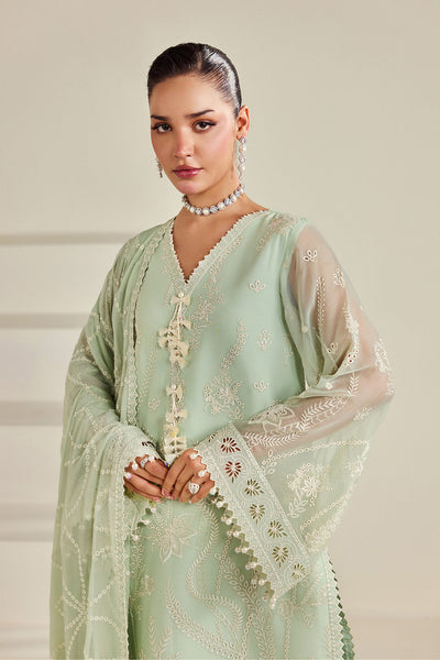 Alizeh | Dhaagay Formals |AF-DHG-5055-Meerak