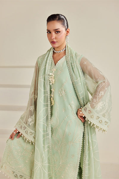 Alizeh | Dhaagay Formals |AF-DHG-5055-Meerak