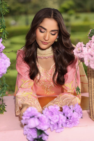 Rangrasiya | Lifestyle Summer Edit 25 | Vaneeza -  Rangasiya Ladies Clothes - Original Designer Dress - House of Maryam