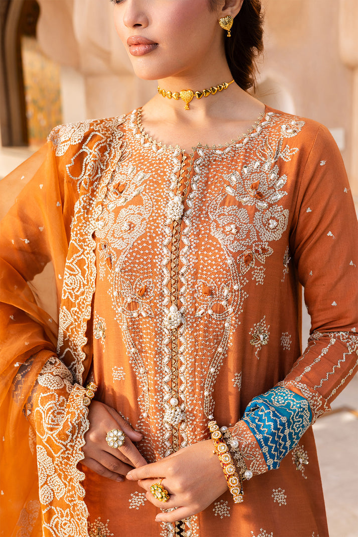 Saad Shaikh | Jahan Festive Collection | SEHR -  Saad Shaikh Ladies Clothes - Original Designer Dress - House of Maryam