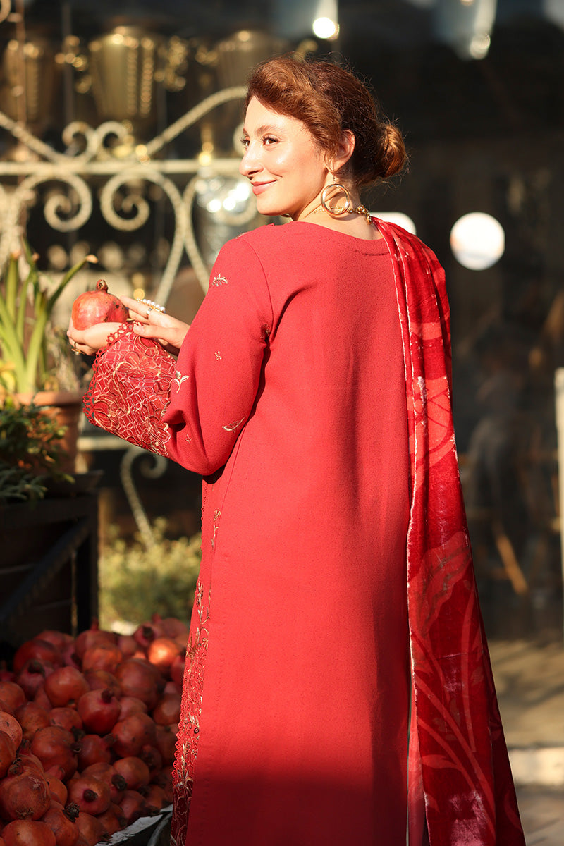 Rangrasiya | Carnation Luxury Shawl Edit | Cold Brew-2