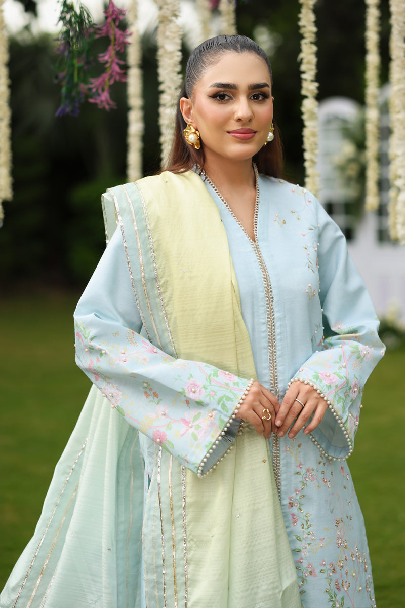Rangrasiya | Luxe Silk | Feryal by Rang Rasiya, image 5