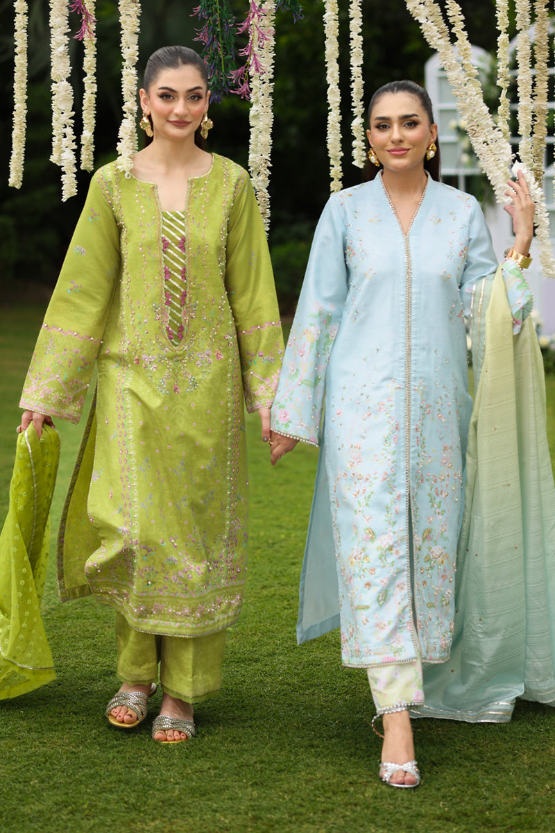 Rangrasiya | Luxe Silk | Feryal-4