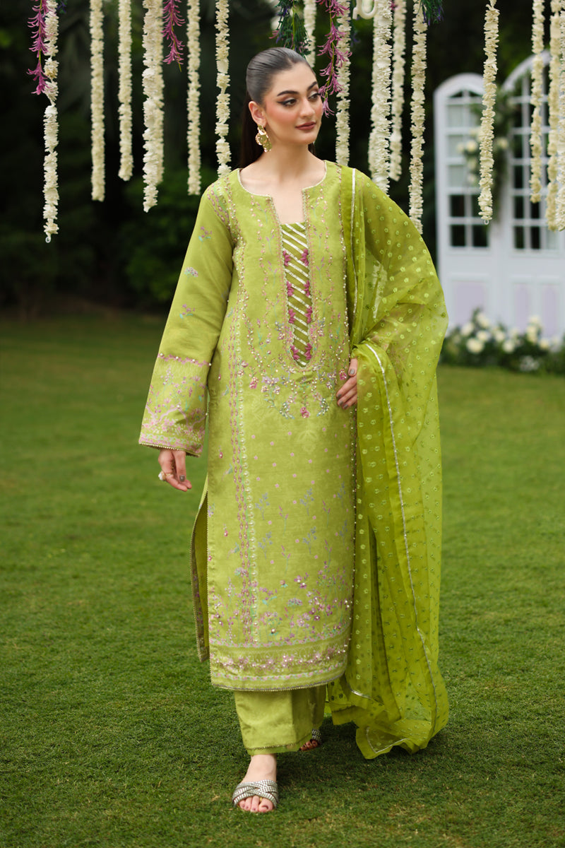 Rangrasiya | Luxe Silk | Radin by Rang Rasiya