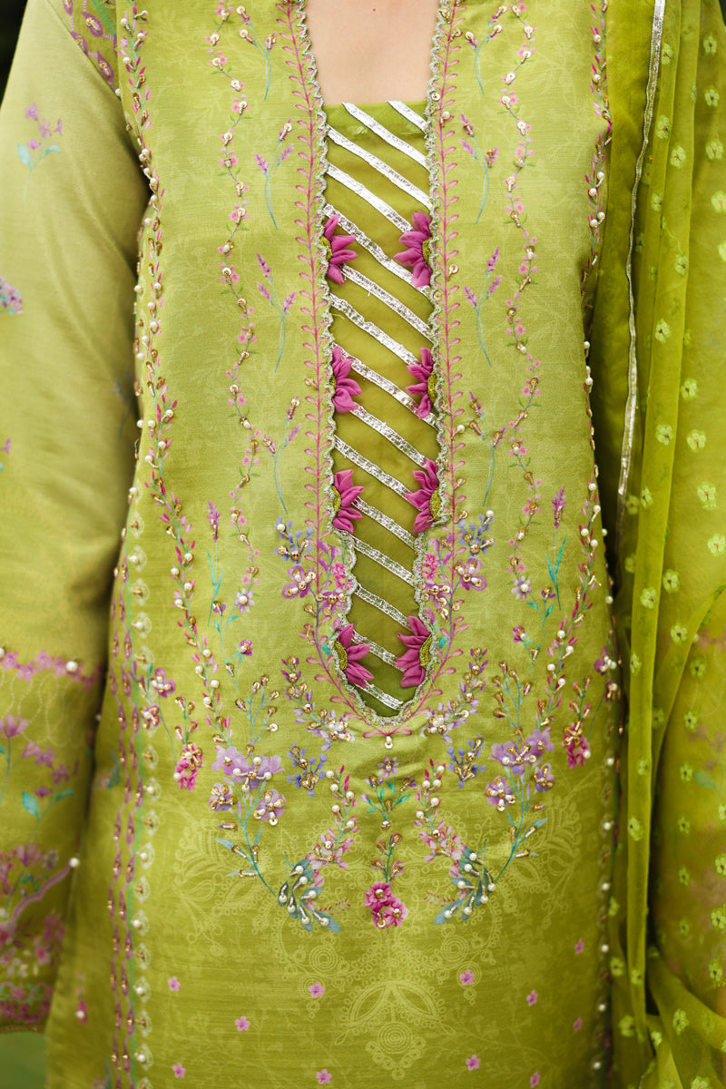 Rangrasiya | Luxe Silk | Radin by Rang Rasiya, image 5