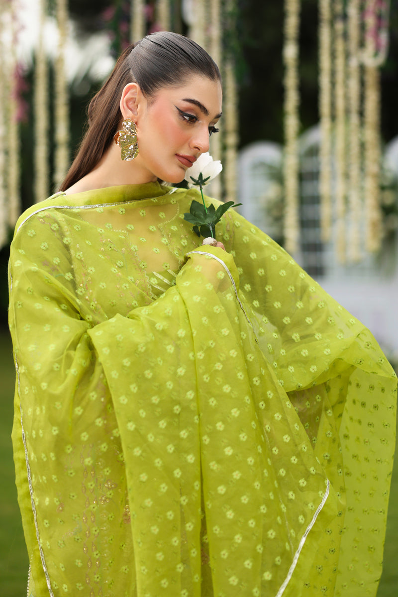 Rangrasiya | Luxe Silk | Radin by Rang Rasiya, image 3
