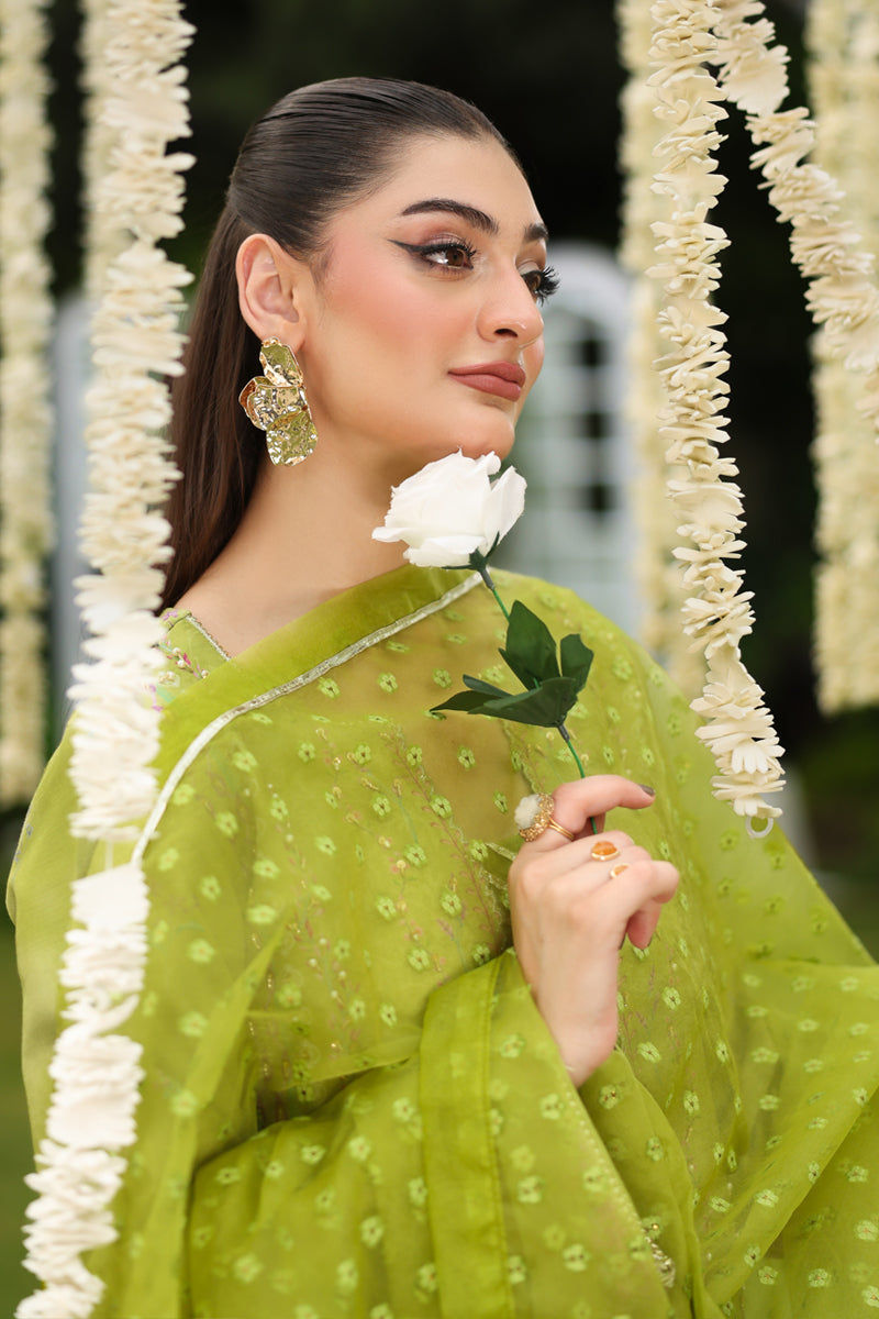 Rangrasiya | Luxe Silk | Radin-4