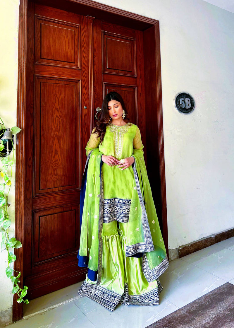Daud Abbas | Formals Collection | Nayab -  Daud Abbas Formal - Original Designer Dress - House of Maryam