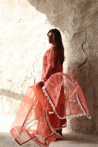 Muntaha | Zara Semi Formals | Aarzoo