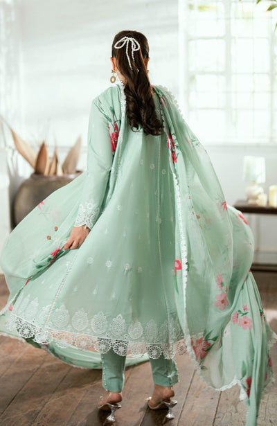 Al zohaib | Laserkari Premium Edition 25 | LKP-25-01 H