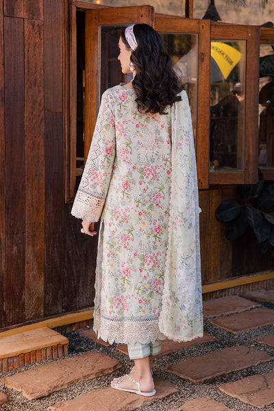 Aabyaan | Shezlin Chikankari Eid Edit 26 | REEM (AV-03)