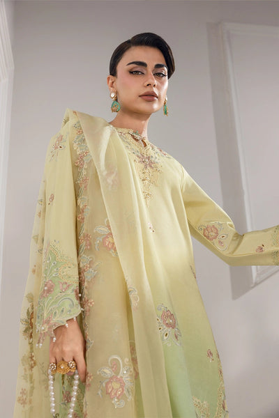 Rangrasiya | Lumeire Silk |Lucia
