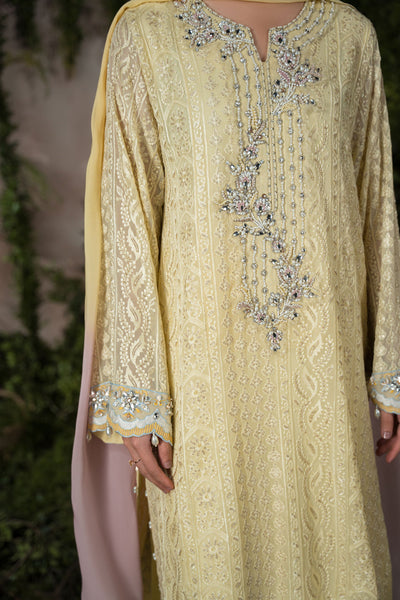 Ammara Khan | Sia 25 | D-09 -  Ammara Khan Ladies Clothes - Original Designer Dress - House of Maryam