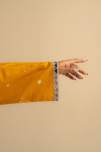 Zara Shahjahan | Love Coco SS 25 | CR25C0764 -  Zara Shahjahan Ladies Clothes - Original Designer Dress - House of Maryam