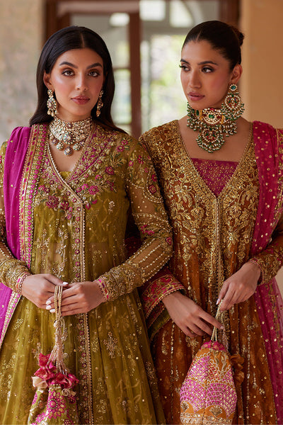 Mina Hassan | Formal Dholki Collection | Aaliyah -  Mina Hassan Ladies Clothes - Original Designer Dress - House of Maryam